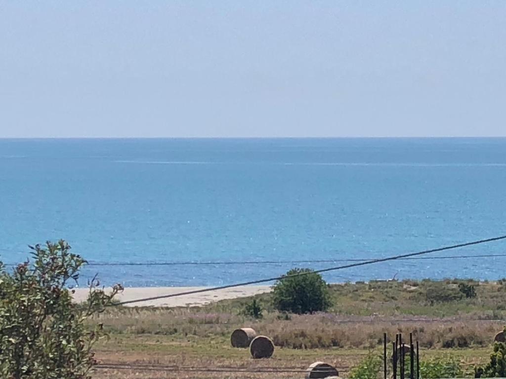 Appartamento L'Ulivo Brancaleone Marina Bagian luar foto