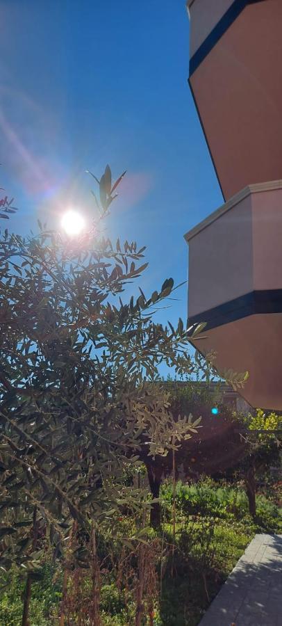 Appartamento L'Ulivo Brancaleone Marina Bagian luar foto