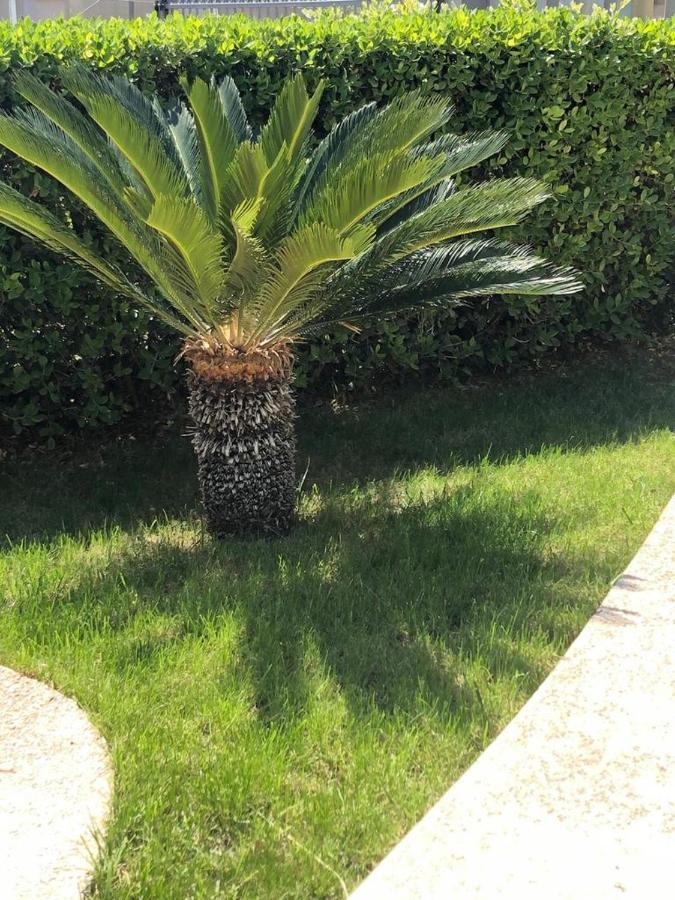 Appartamento L'Ulivo Brancaleone Marina Bagian luar foto